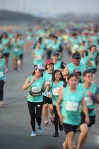 BIB: 522
                            <button type="button" onclick="openModal(10507581)" class="btn btn-primary btn-sm float-right btn-popup" data-toggle="modal" data-target=".modal-high-quality">
                        <i class="fas fa-shopping-cart"></i> Add to Cart
                    </button>
                                            <button type="button" onclick="isThisMe(10507581, true)" class="btn btn-success btn-sm float-right btn-popup btn-isme hidden" data-toggle="tooltip" data-placement="bottom" title="นี่คือรูปของคุณใช่ไหม คลิกที่นี่เพื่อเอาเข้าอัลบั้ม">
                        <i class="fas fa-plus"></i> Add to album
                    </button>
                    <button type="button" onclick="isThisMe(10507581, false)" class="btn btn-warning btn-sm float-right btn-popup btn-isnotme hidden">
                        <i class="fas fa-ban"></i> Remove from album
                    </button>