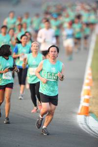 BIB: 50245, 50716
                            <button type="button" onclick="openModal(10504425)" class="btn btn-primary btn-sm float-right btn-popup" data-toggle="modal" data-target=".modal-high-quality">
                        <i class="fas fa-shopping-cart"></i> Add to Cart
                    </button>
                                            <button type="button" onclick="isThisMe(10504425, true)" class="btn btn-success btn-sm float-right btn-popup btn-isme hidden" data-toggle="tooltip" data-placement="bottom" title="นี่คือรูปของคุณใช่ไหม คลิกที่นี่เพื่อเอาเข้าอัลบั้ม">
                        <i class="fas fa-plus"></i> Add to album
                    </button>
                    <button type="button" onclick="isThisMe(10504425, false)" class="btn btn-warning btn-sm float-right btn-popup btn-isnotme hidden">
                        <i class="fas fa-ban"></i> Remove from album
                    </button>