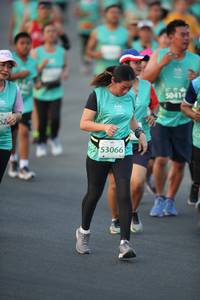 BIB: 50414, 53066
                            <button type="button" onclick="openModal(10508873)" class="btn btn-primary btn-sm float-right btn-popup" data-toggle="modal" data-target=".modal-high-quality">
                        <i class="fas fa-shopping-cart"></i> Add to Cart
                    </button>
                                            <button type="button" onclick="isThisMe(10508873, true)" class="btn btn-success btn-sm float-right btn-popup btn-isme hidden" data-toggle="tooltip" data-placement="bottom" title="นี่คือรูปของคุณใช่ไหม คลิกที่นี่เพื่อเอาเข้าอัลบั้ม">
                        <i class="fas fa-plus"></i> Add to album
                    </button>
                    <button type="button" onclick="isThisMe(10508873, false)" class="btn btn-warning btn-sm float-right btn-popup btn-isnotme hidden">
                        <i class="fas fa-ban"></i> Remove from album
                    </button>