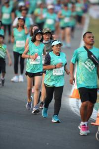 BIB: 382, 53131, 50243
                            <button type="button" onclick="openModal(10508938)" class="btn btn-primary btn-sm float-right btn-popup" data-toggle="modal" data-target=".modal-high-quality">
                        <i class="fas fa-shopping-cart"></i> Add to Cart
                    </button>
                                            <button type="button" onclick="isThisMe(10508938, true)" class="btn btn-success btn-sm float-right btn-popup btn-isme hidden" data-toggle="tooltip" data-placement="bottom" title="นี่คือรูปของคุณใช่ไหม คลิกที่นี่เพื่อเอาเข้าอัลบั้ม">
                        <i class="fas fa-plus"></i> Add to album
                    </button>
                    <button type="button" onclick="isThisMe(10508938, false)" class="btn btn-warning btn-sm float-right btn-popup btn-isnotme hidden">
                        <i class="fas fa-ban"></i> Remove from album
                    </button>