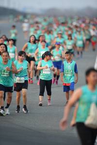 BIB: 52279, 51551, 51640, 52862, 
                            <button type="button" onclick="openModal(10507777)" class="btn btn-primary btn-sm float-right btn-popup" data-toggle="modal" data-target=".modal-high-quality">
                        <i class="fas fa-shopping-cart"></i> Add to Cart
                    </button>
                                            <button type="button" onclick="isThisMe(10507777, true)" class="btn btn-success btn-sm float-right btn-popup btn-isme hidden" data-toggle="tooltip" data-placement="bottom" title="นี่คือรูปของคุณใช่ไหม คลิกที่นี่เพื่อเอาเข้าอัลบั้ม">
                        <i class="fas fa-plus"></i> Add to album
                    </button>
                    <button type="button" onclick="isThisMe(10507777, false)" class="btn btn-warning btn-sm float-right btn-popup btn-isnotme hidden">
                        <i class="fas fa-ban"></i> Remove from album
                    </button>