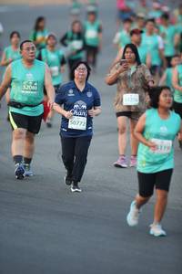 BIB: 52088, 1276, 50772
                            <button type="button" onclick="openModal(10511493)" class="btn btn-primary btn-sm float-right btn-popup" data-toggle="modal" data-target=".modal-high-quality">
                        <i class="fas fa-shopping-cart"></i> Add to Cart
                    </button>
                                            <button type="button" onclick="isThisMe(10511493, true)" class="btn btn-success btn-sm float-right btn-popup btn-isme hidden" data-toggle="tooltip" data-placement="bottom" title="นี่คือรูปของคุณใช่ไหม คลิกที่นี่เพื่อเอาเข้าอัลบั้ม">
                        <i class="fas fa-plus"></i> Add to album
                    </button>
                    <button type="button" onclick="isThisMe(10511493, false)" class="btn btn-warning btn-sm float-right btn-popup btn-isnotme hidden">
                        <i class="fas fa-ban"></i> Remove from album
                    </button>