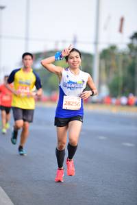 BIB: 28256
                            <button type="button" onclick="openModal(11910536)" class="btn btn-primary btn-sm float-right btn-popup" data-toggle="modal" data-target=".modal-high-quality">
                        <i class="fas fa-shopping-cart"></i> Add to Cart
                    </button>
                                            <button type="button" onclick="isThisMe(11910536, true)" class="btn btn-success btn-sm float-right btn-popup btn-isme hidden" data-toggle="tooltip" data-placement="bottom" title="นี่คือรูปของคุณใช่ไหม คลิกที่นี่เพื่อเอาเข้าอัลบั้ม">
                        <i class="fas fa-plus"></i> Add to album
                    </button>
                    <button type="button" onclick="isThisMe(11910536, false)" class="btn btn-warning btn-sm float-right btn-popup btn-isnotme hidden">
                        <i class="fas fa-ban"></i> Remove from album
                    </button>