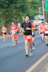 BIB: 26794, 
                            <button type="button" onclick="openModal(12511072)" class="btn btn-primary btn-sm float-right btn-popup" data-toggle="modal" data-target=".modal-high-quality">
                        <i class="fas fa-shopping-cart"></i> Add to Cart
                    </button>
                                            <button type="button" onclick="isThisMe(12511072, true)" class="btn btn-success btn-sm float-right btn-popup btn-isme hidden" data-toggle="tooltip" data-placement="bottom" title="นี่คือรูปของคุณใช่ไหม คลิกที่นี่เพื่อเอาเข้าอัลบั้ม">
                        <i class="fas fa-plus"></i> Add to album
                    </button>
                    <button type="button" onclick="isThisMe(12511072, false)" class="btn btn-warning btn-sm float-right btn-popup btn-isnotme hidden">
                        <i class="fas fa-ban"></i> Remove from album
                    </button>