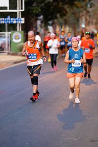 BIB: 44306, 43356
                            <button type="button" onclick="openModal(12229269)" class="btn btn-primary btn-sm float-right btn-popup" data-toggle="modal" data-target=".modal-high-quality">
                        <i class="fas fa-shopping-cart"></i> Add to Cart
                    </button>
                                            <button type="button" onclick="isThisMe(12229269, true)" class="btn btn-success btn-sm float-right btn-popup btn-isme hidden" data-toggle="tooltip" data-placement="bottom" title="นี่คือรูปของคุณใช่ไหม คลิกที่นี่เพื่อเอาเข้าอัลบั้ม">
                        <i class="fas fa-plus"></i> Add to album
                    </button>
                    <button type="button" onclick="isThisMe(12229269, false)" class="btn btn-warning btn-sm float-right btn-popup btn-isnotme hidden">
                        <i class="fas fa-ban"></i> Remove from album
                    </button>
