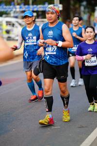 BIB: 42009, 41877, 46368
                            <button type="button" onclick="openModal(12233033)" class="btn btn-primary btn-sm float-right btn-popup" data-toggle="modal" data-target=".modal-high-quality">
                        <i class="fas fa-shopping-cart"></i> Add to Cart
                    </button>
                                            <button type="button" onclick="isThisMe(12233033, true)" class="btn btn-success btn-sm float-right btn-popup btn-isme hidden" data-toggle="tooltip" data-placement="bottom" title="นี่คือรูปของคุณใช่ไหม คลิกที่นี่เพื่อเอาเข้าอัลบั้ม">
                        <i class="fas fa-plus"></i> Add to album
                    </button>
                    <button type="button" onclick="isThisMe(12233033, false)" class="btn btn-warning btn-sm float-right btn-popup btn-isnotme hidden">
                        <i class="fas fa-ban"></i> Remove from album
                    </button>