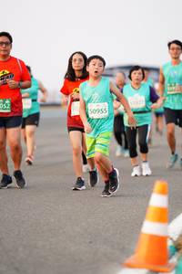 BIB: 052, 1027, 510, 50955
                            <button type="button" onclick="openModal(12201109)" class="btn btn-primary btn-sm float-right btn-popup" data-toggle="modal" data-target=".modal-high-quality">
                        <i class="fas fa-shopping-cart"></i> Add to Cart
                    </button>
                                            <button type="button" onclick="isThisMe(12201109, true)" class="btn btn-success btn-sm float-right btn-popup btn-isme hidden" data-toggle="tooltip" data-placement="bottom" title="นี่คือรูปของคุณใช่ไหม คลิกที่นี่เพื่อเอาเข้าอัลบั้ม">
                        <i class="fas fa-plus"></i> Add to album
                    </button>
                    <button type="button" onclick="isThisMe(12201109, false)" class="btn btn-warning btn-sm float-right btn-popup btn-isnotme hidden">
                        <i class="fas fa-ban"></i> Remove from album
                    </button>