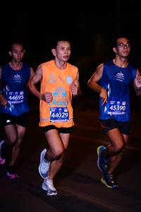 BIB: 51538
                            <button type="button" onclick="openModal(10448612)" class="btn btn-primary btn-sm float-right btn-popup" data-toggle="modal" data-target=".modal-high-quality">
                        <i class="fas fa-shopping-cart"></i> Add to Cart
                    </button>
                                            <button type="button" onclick="isThisMe(10448612, true)" class="btn btn-success btn-sm float-right btn-popup btn-isme hidden" data-toggle="tooltip" data-placement="bottom" title="นี่คือรูปของคุณใช่ไหม คลิกที่นี่เพื่อเอาเข้าอัลบั้ม">
                        <i class="fas fa-plus"></i> Add to album
                    </button>
                    <button type="button" onclick="isThisMe(10448612, false)" class="btn btn-warning btn-sm float-right btn-popup btn-isnotme hidden">
                        <i class="fas fa-ban"></i> Remove from album
                    </button>