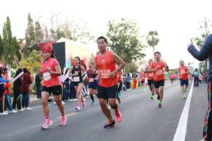 BIB: 019, 2603, 205
                            <button type="button" onclick="openModal(11042268)" class="btn btn-primary btn-sm float-right btn-popup" data-toggle="modal" data-target=".modal-high-quality">
                        <i class="fas fa-shopping-cart"></i> Add to Cart
                    </button>
                                            <button type="button" onclick="isThisMe(11042268, true)" class="btn btn-success btn-sm float-right btn-popup btn-isme hidden" data-toggle="tooltip" data-placement="bottom" title="นี่คือรูปของคุณใช่ไหม คลิกที่นี่เพื่อเอาเข้าอัลบั้ม">
                        <i class="fas fa-plus"></i> Add to album
                    </button>
                    <button type="button" onclick="isThisMe(11042268, false)" class="btn btn-warning btn-sm float-right btn-popup btn-isnotme hidden">
                        <i class="fas fa-ban"></i> Remove from album
                    </button>