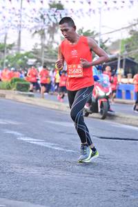 BIB: 25685
                            <button type="button" onclick="openModal(12825103)" class="btn btn-primary btn-sm float-right btn-popup" data-toggle="modal" data-target=".modal-high-quality">
                        <i class="fas fa-shopping-cart"></i> Add to Cart
                    </button>
                                            <button type="button" onclick="isThisMe(12825103, true)" class="btn btn-success btn-sm float-right btn-popup btn-isme hidden" data-toggle="tooltip" data-placement="bottom" title="นี่คือรูปของคุณใช่ไหม คลิกที่นี่เพื่อเอาเข้าอัลบั้ม">
                        <i class="fas fa-plus"></i> Add to album
                    </button>
                    <button type="button" onclick="isThisMe(12825103, false)" class="btn btn-warning btn-sm float-right btn-popup btn-isnotme hidden">
                        <i class="fas fa-ban"></i> Remove from album
                    </button>