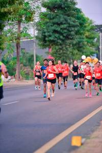 BIB: 
                            <button type="button" onclick="openModal(12913468)" class="btn btn-primary btn-sm float-right btn-popup" data-toggle="modal" data-target=".modal-high-quality">
                        <i class="fas fa-shopping-cart"></i> Add to Cart
                    </button>
                                            <button type="button" onclick="isThisMe(12913468, true)" class="btn btn-success btn-sm float-right btn-popup btn-isme hidden" data-toggle="tooltip" data-placement="bottom" title="นี่คือรูปของคุณใช่ไหม คลิกที่นี่เพื่อเอาเข้าอัลบั้ม">
                        <i class="fas fa-plus"></i> Add to album
                    </button>
                    <button type="button" onclick="isThisMe(12913468, false)" class="btn btn-warning btn-sm float-right btn-popup btn-isnotme hidden">
                        <i class="fas fa-ban"></i> Remove from album
                    </button>