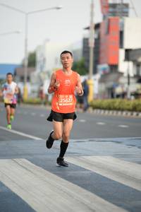 BIB: 25627
                            <button type="button" onclick="openModal(10801184)" class="btn btn-primary btn-sm float-right btn-popup" data-toggle="modal" data-target=".modal-high-quality">
                        <i class="fas fa-shopping-cart"></i> Add to Cart
                    </button>
                                            <button type="button" onclick="isThisMe(10801184, true)" class="btn btn-success btn-sm float-right btn-popup btn-isme hidden" data-toggle="tooltip" data-placement="bottom" title="นี่คือรูปของคุณใช่ไหม คลิกที่นี่เพื่อเอาเข้าอัลบั้ม">
                        <i class="fas fa-plus"></i> Add to album
                    </button>
                    <button type="button" onclick="isThisMe(10801184, false)" class="btn btn-warning btn-sm float-right btn-popup btn-isnotme hidden">
                        <i class="fas fa-ban"></i> Remove from album
                    </button>