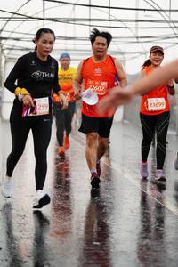 BIB: 2607, 23699, 259
                            <button type="button" onclick="openModal(11358104)" class="btn btn-primary btn-sm float-right btn-popup" data-toggle="modal" data-target=".modal-high-quality">
                        <i class="fas fa-shopping-cart"></i> Add to Cart
                    </button>
                                            <button type="button" onclick="isThisMe(11358104, true)" class="btn btn-success btn-sm float-right btn-popup btn-isme hidden" data-toggle="tooltip" data-placement="bottom" title="นี่คือรูปของคุณใช่ไหม คลิกที่นี่เพื่อเอาเข้าอัลบั้ม">
                        <i class="fas fa-plus"></i> Add to album
                    </button>
                    <button type="button" onclick="isThisMe(11358104, false)" class="btn btn-warning btn-sm float-right btn-popup btn-isnotme hidden">
                        <i class="fas fa-ban"></i> Remove from album
                    </button>