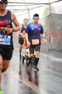 BIB: 44111, 83706
                            <button type="button" onclick="openModal(11357797)" class="btn btn-primary btn-sm float-right btn-popup" data-toggle="modal" data-target=".modal-high-quality">
                        <i class="fas fa-shopping-cart"></i> Add to Cart
                    </button>
                                            <button type="button" onclick="isThisMe(11357797, true)" class="btn btn-success btn-sm float-right btn-popup btn-isme hidden" data-toggle="tooltip" data-placement="bottom" title="นี่คือรูปของคุณใช่ไหม คลิกที่นี่เพื่อเอาเข้าอัลบั้ม">
                        <i class="fas fa-plus"></i> Add to album
                    </button>
                    <button type="button" onclick="isThisMe(11357797, false)" class="btn btn-warning btn-sm float-right btn-popup btn-isnotme hidden">
                        <i class="fas fa-ban"></i> Remove from album
                    </button>