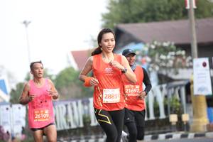 BIB: 21697, 28859, 26109
                            <button type="button" onclick="openModal(11225072)" class="btn btn-primary btn-sm float-right btn-popup" data-toggle="modal" data-target=".modal-high-quality">
                        <i class="fas fa-shopping-cart"></i> Add to Cart
                    </button>
                                            <button type="button" onclick="isThisMe(11225072, true)" class="btn btn-success btn-sm float-right btn-popup btn-isme hidden" data-toggle="tooltip" data-placement="bottom" title="นี่คือรูปของคุณใช่ไหม คลิกที่นี่เพื่อเอาเข้าอัลบั้ม">
                        <i class="fas fa-plus"></i> Add to album
                    </button>
                    <button type="button" onclick="isThisMe(11225072, false)" class="btn btn-warning btn-sm float-right btn-popup btn-isnotme hidden">
                        <i class="fas fa-ban"></i> Remove from album
                    </button>