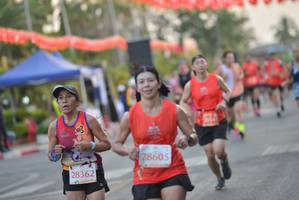 BIB: 5010, 28605, 28362
                            <button type="button" onclick="openModal(10780965)" class="btn btn-primary btn-sm float-right btn-popup" data-toggle="modal" data-target=".modal-high-quality">
                        <i class="fas fa-shopping-cart"></i> Add to Cart
                    </button>
                                            <button type="button" onclick="isThisMe(10780965, true)" class="btn btn-success btn-sm float-right btn-popup btn-isme hidden" data-toggle="tooltip" data-placement="bottom" title="นี่คือรูปของคุณใช่ไหม คลิกที่นี่เพื่อเอาเข้าอัลบั้ม">
                        <i class="fas fa-plus"></i> Add to album
                    </button>
                    <button type="button" onclick="isThisMe(10780965, false)" class="btn btn-warning btn-sm float-right btn-popup btn-isnotme hidden">
                        <i class="fas fa-ban"></i> Remove from album
                    </button>