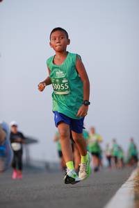 BIB: 50055
                            <button type="button" onclick="openModal(10536877)" class="btn btn-primary btn-sm float-right btn-popup" data-toggle="modal" data-target=".modal-high-quality">
                        <i class="fas fa-shopping-cart"></i> Add to Cart
                    </button>
                                            <button type="button" onclick="isThisMe(10536877, true)" class="btn btn-success btn-sm float-right btn-popup btn-isme hidden" data-toggle="tooltip" data-placement="bottom" title="นี่คือรูปของคุณใช่ไหม คลิกที่นี่เพื่อเอาเข้าอัลบั้ม">
                        <i class="fas fa-plus"></i> Add to album
                    </button>
                    <button type="button" onclick="isThisMe(10536877, false)" class="btn btn-warning btn-sm float-right btn-popup btn-isnotme hidden">
                        <i class="fas fa-ban"></i> Remove from album
                    </button>