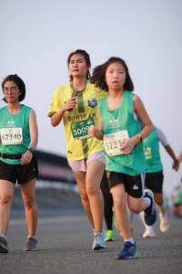 BIB: 2340, 5009, 522
                            <button type="button" onclick="openModal(10537527)" class="btn btn-primary btn-sm float-right btn-popup" data-toggle="modal" data-target=".modal-high-quality">
                        <i class="fas fa-shopping-cart"></i> Add to Cart
                    </button>
                                            <button type="button" onclick="isThisMe(10537527, true)" class="btn btn-success btn-sm float-right btn-popup btn-isme hidden" data-toggle="tooltip" data-placement="bottom" title="นี่คือรูปของคุณใช่ไหม คลิกที่นี่เพื่อเอาเข้าอัลบั้ม">
                        <i class="fas fa-plus"></i> Add to album
                    </button>
                    <button type="button" onclick="isThisMe(10537527, false)" class="btn btn-warning btn-sm float-right btn-popup btn-isnotme hidden">
                        <i class="fas fa-ban"></i> Remove from album
                    </button>