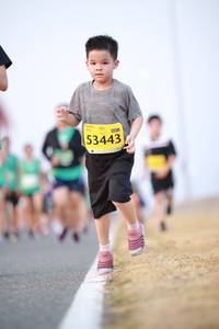 BIB: 53443
                            <button type="button" onclick="openModal(10542407)" class="btn btn-primary btn-sm float-right btn-popup" data-toggle="modal" data-target=".modal-high-quality">
                        <i class="fas fa-shopping-cart"></i> Add to Cart
                    </button>
                                            <button type="button" onclick="isThisMe(10542407, true)" class="btn btn-success btn-sm float-right btn-popup btn-isme hidden" data-toggle="tooltip" data-placement="bottom" title="นี่คือรูปของคุณใช่ไหม คลิกที่นี่เพื่อเอาเข้าอัลบั้ม">
                        <i class="fas fa-plus"></i> Add to album
                    </button>
                    <button type="button" onclick="isThisMe(10542407, false)" class="btn btn-warning btn-sm float-right btn-popup btn-isnotme hidden">
                        <i class="fas fa-ban"></i> Remove from album
                    </button>