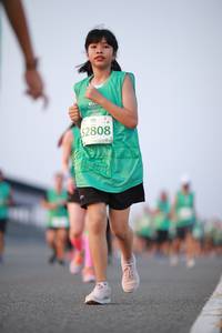 BIB: 2808
                            <button type="button" onclick="openModal(10540768)" class="btn btn-primary btn-sm float-right btn-popup" data-toggle="modal" data-target=".modal-high-quality">
                        <i class="fas fa-shopping-cart"></i> Add to Cart
                    </button>
                                            <button type="button" onclick="isThisMe(10540768, true)" class="btn btn-success btn-sm float-right btn-popup btn-isme hidden" data-toggle="tooltip" data-placement="bottom" title="นี่คือรูปของคุณใช่ไหม คลิกที่นี่เพื่อเอาเข้าอัลบั้ม">
                        <i class="fas fa-plus"></i> Add to album
                    </button>
                    <button type="button" onclick="isThisMe(10540768, false)" class="btn btn-warning btn-sm float-right btn-popup btn-isnotme hidden">
                        <i class="fas fa-ban"></i> Remove from album
                    </button>