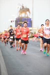 BIB: 22387, 26679
                            <button type="button" onclick="openModal(12198923)" class="btn btn-primary btn-sm float-right btn-popup" data-toggle="modal" data-target=".modal-high-quality">
                        <i class="fas fa-shopping-cart"></i> Add to Cart
                    </button>
                                            <button type="button" onclick="isThisMe(12198923, true)" class="btn btn-success btn-sm float-right btn-popup btn-isme hidden" data-toggle="tooltip" data-placement="bottom" title="นี่คือรูปของคุณใช่ไหม คลิกที่นี่เพื่อเอาเข้าอัลบั้ม">
                        <i class="fas fa-plus"></i> Add to album
                    </button>
                    <button type="button" onclick="isThisMe(12198923, false)" class="btn btn-warning btn-sm float-right btn-popup btn-isnotme hidden">
                        <i class="fas fa-ban"></i> Remove from album
                    </button>