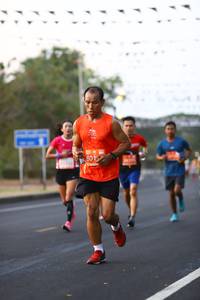 BIB: 801
                            <button type="button" onclick="openModal(10785116)" class="btn btn-primary btn-sm float-right btn-popup" data-toggle="modal" data-target=".modal-high-quality">
                        <i class="fas fa-shopping-cart"></i> Add to Cart
                    </button>
                                            <button type="button" onclick="isThisMe(10785116, true)" class="btn btn-success btn-sm float-right btn-popup btn-isme hidden" data-toggle="tooltip" data-placement="bottom" title="นี่คือรูปของคุณใช่ไหม คลิกที่นี่เพื่อเอาเข้าอัลบั้ม">
                        <i class="fas fa-plus"></i> Add to album
                    </button>
                    <button type="button" onclick="isThisMe(10785116, false)" class="btn btn-warning btn-sm float-right btn-popup btn-isnotme hidden">
                        <i class="fas fa-ban"></i> Remove from album
                    </button>