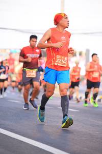BIB: 22167
                            <button type="button" onclick="openModal(11120079)" class="btn btn-primary btn-sm float-right btn-popup" data-toggle="modal" data-target=".modal-high-quality">
                        <i class="fas fa-shopping-cart"></i> Add to Cart
                    </button>
                                            <button type="button" onclick="isThisMe(11120079, true)" class="btn btn-success btn-sm float-right btn-popup btn-isme hidden" data-toggle="tooltip" data-placement="bottom" title="นี่คือรูปของคุณใช่ไหม คลิกที่นี่เพื่อเอาเข้าอัลบั้ม">
                        <i class="fas fa-plus"></i> Add to album
                    </button>
                    <button type="button" onclick="isThisMe(11120079, false)" class="btn btn-warning btn-sm float-right btn-popup btn-isnotme hidden">
                        <i class="fas fa-ban"></i> Remove from album
                    </button>