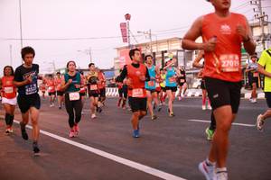 BIB: 42527, 27019, 26977
                            <button type="button" onclick="openModal(12246640)" class="btn btn-primary btn-sm float-right btn-popup" data-toggle="modal" data-target=".modal-high-quality">
                        <i class="fas fa-shopping-cart"></i> Add to Cart
                    </button>
                                            <button type="button" onclick="isThisMe(12246640, true)" class="btn btn-success btn-sm float-right btn-popup btn-isme hidden" data-toggle="tooltip" data-placement="bottom" title="นี่คือรูปของคุณใช่ไหม คลิกที่นี่เพื่อเอาเข้าอัลบั้ม">
                        <i class="fas fa-plus"></i> Add to album
                    </button>
                    <button type="button" onclick="isThisMe(12246640, false)" class="btn btn-warning btn-sm float-right btn-popup btn-isnotme hidden">
                        <i class="fas fa-ban"></i> Remove from album
                    </button>