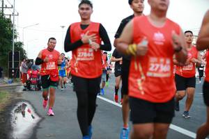 BIB: 27844, 2736, 22381
                            <button type="button" onclick="openModal(12527892)" class="btn btn-primary btn-sm float-right btn-popup" data-toggle="modal" data-target=".modal-high-quality">
                        <i class="fas fa-shopping-cart"></i> Add to Cart
                    </button>
                                            <button type="button" onclick="isThisMe(12527892, true)" class="btn btn-success btn-sm float-right btn-popup btn-isme hidden" data-toggle="tooltip" data-placement="bottom" title="นี่คือรูปของคุณใช่ไหม คลิกที่นี่เพื่อเอาเข้าอัลบั้ม">
                        <i class="fas fa-plus"></i> Add to album
                    </button>
                    <button type="button" onclick="isThisMe(12527892, false)" class="btn btn-warning btn-sm float-right btn-popup btn-isnotme hidden">
                        <i class="fas fa-ban"></i> Remove from album
                    </button>