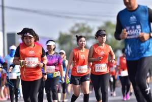 BIB: 26599, 27820, 44547
                            <button type="button" onclick="openModal(11624317)" class="btn btn-primary btn-sm float-right btn-popup" data-toggle="modal" data-target=".modal-high-quality">
                        <i class="fas fa-shopping-cart"></i> Add to Cart
                    </button>
                                            <button type="button" onclick="isThisMe(11624317, true)" class="btn btn-success btn-sm float-right btn-popup btn-isme hidden" data-toggle="tooltip" data-placement="bottom" title="นี่คือรูปของคุณใช่ไหม คลิกที่นี่เพื่อเอาเข้าอัลบั้ม">
                        <i class="fas fa-plus"></i> Add to album
                    </button>
                    <button type="button" onclick="isThisMe(11624317, false)" class="btn btn-warning btn-sm float-right btn-popup btn-isnotme hidden">
                        <i class="fas fa-ban"></i> Remove from album
                    </button>