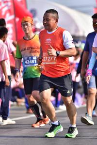BIB: 41764, 45033, 2140
                            <button type="button" onclick="openModal(11297213)" class="btn btn-primary btn-sm float-right btn-popup" data-toggle="modal" data-target=".modal-high-quality">
                        <i class="fas fa-shopping-cart"></i> Add to Cart
                    </button>
                                            <button type="button" onclick="isThisMe(11297213, true)" class="btn btn-success btn-sm float-right btn-popup btn-isme hidden" data-toggle="tooltip" data-placement="bottom" title="นี่คือรูปของคุณใช่ไหม คลิกที่นี่เพื่อเอาเข้าอัลบั้ม">
                        <i class="fas fa-plus"></i> Add to album
                    </button>
                    <button type="button" onclick="isThisMe(11297213, false)" class="btn btn-warning btn-sm float-right btn-popup btn-isnotme hidden">
                        <i class="fas fa-ban"></i> Remove from album
                    </button>