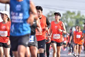 BIB: 20604
                            <button type="button" onclick="openModal(11276879)" class="btn btn-primary btn-sm float-right btn-popup" data-toggle="modal" data-target=".modal-high-quality">
                        <i class="fas fa-shopping-cart"></i> Add to Cart
                    </button>
                                            <button type="button" onclick="isThisMe(11276879, true)" class="btn btn-success btn-sm float-right btn-popup btn-isme hidden" data-toggle="tooltip" data-placement="bottom" title="นี่คือรูปของคุณใช่ไหม คลิกที่นี่เพื่อเอาเข้าอัลบั้ม">
                        <i class="fas fa-plus"></i> Add to album
                    </button>
                    <button type="button" onclick="isThisMe(11276879, false)" class="btn btn-warning btn-sm float-right btn-popup btn-isnotme hidden">
                        <i class="fas fa-ban"></i> Remove from album
                    </button>