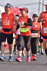 BIB: 26019
                            <button type="button" onclick="openModal(11246250)" class="btn btn-primary btn-sm float-right btn-popup" data-toggle="modal" data-target=".modal-high-quality">
                        <i class="fas fa-shopping-cart"></i> Add to Cart
                    </button>
                                            <button type="button" onclick="isThisMe(11246250, true)" class="btn btn-success btn-sm float-right btn-popup btn-isme hidden" data-toggle="tooltip" data-placement="bottom" title="นี่คือรูปของคุณใช่ไหม คลิกที่นี่เพื่อเอาเข้าอัลบั้ม">
                        <i class="fas fa-plus"></i> Add to album
                    </button>
                    <button type="button" onclick="isThisMe(11246250, false)" class="btn btn-warning btn-sm float-right btn-popup btn-isnotme hidden">
                        <i class="fas fa-ban"></i> Remove from album
                    </button>