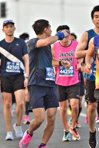 BIB: 42105, 44259, 4415
                            <button type="button" onclick="openModal(11749888)" class="btn btn-primary btn-sm float-right btn-popup" data-toggle="modal" data-target=".modal-high-quality">
                        <i class="fas fa-shopping-cart"></i> Add to Cart
                    </button>
                                            <button type="button" onclick="isThisMe(11749888, true)" class="btn btn-success btn-sm float-right btn-popup btn-isme hidden" data-toggle="tooltip" data-placement="bottom" title="นี่คือรูปของคุณใช่ไหม คลิกที่นี่เพื่อเอาเข้าอัลบั้ม">
                        <i class="fas fa-plus"></i> Add to album
                    </button>
                    <button type="button" onclick="isThisMe(11749888, false)" class="btn btn-warning btn-sm float-right btn-popup btn-isnotme hidden">
                        <i class="fas fa-ban"></i> Remove from album
                    </button>