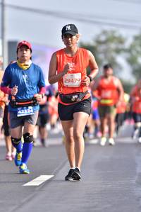 BIB: 29479, 42324
                            <button type="button" onclick="openModal(11302688)" class="btn btn-primary btn-sm float-right btn-popup" data-toggle="modal" data-target=".modal-high-quality">
                        <i class="fas fa-shopping-cart"></i> Add to Cart
                    </button>
                                            <button type="button" onclick="isThisMe(11302688, true)" class="btn btn-success btn-sm float-right btn-popup btn-isme hidden" data-toggle="tooltip" data-placement="bottom" title="นี่คือรูปของคุณใช่ไหม คลิกที่นี่เพื่อเอาเข้าอัลบั้ม">
                        <i class="fas fa-plus"></i> Add to album
                    </button>
                    <button type="button" onclick="isThisMe(11302688, false)" class="btn btn-warning btn-sm float-right btn-popup btn-isnotme hidden">
                        <i class="fas fa-ban"></i> Remove from album
                    </button>