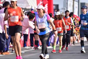 BIB: 295, 44540, 29153, 740, 28236
                            <button type="button" onclick="openModal(11646602)" class="btn btn-primary btn-sm float-right btn-popup" data-toggle="modal" data-target=".modal-high-quality">
                        <i class="fas fa-shopping-cart"></i> Add to Cart
                    </button>
                                            <button type="button" onclick="isThisMe(11646602, true)" class="btn btn-success btn-sm float-right btn-popup btn-isme hidden" data-toggle="tooltip" data-placement="bottom" title="นี่คือรูปของคุณใช่ไหม คลิกที่นี่เพื่อเอาเข้าอัลบั้ม">
                        <i class="fas fa-plus"></i> Add to album
                    </button>
                    <button type="button" onclick="isThisMe(11646602, false)" class="btn btn-warning btn-sm float-right btn-popup btn-isnotme hidden">
                        <i class="fas fa-ban"></i> Remove from album
                    </button>