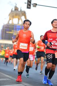 BIB: 28880, 8227
                            <button type="button" onclick="openModal(10788022)" class="btn btn-primary btn-sm float-right btn-popup" data-toggle="modal" data-target=".modal-high-quality">
                        <i class="fas fa-shopping-cart"></i> Add to Cart
                    </button>
                                            <button type="button" onclick="isThisMe(10788022, true)" class="btn btn-success btn-sm float-right btn-popup btn-isme hidden" data-toggle="tooltip" data-placement="bottom" title="นี่คือรูปของคุณใช่ไหม คลิกที่นี่เพื่อเอาเข้าอัลบั้ม">
                        <i class="fas fa-plus"></i> Add to album
                    </button>
                    <button type="button" onclick="isThisMe(10788022, false)" class="btn btn-warning btn-sm float-right btn-popup btn-isnotme hidden">
                        <i class="fas fa-ban"></i> Remove from album
                    </button>