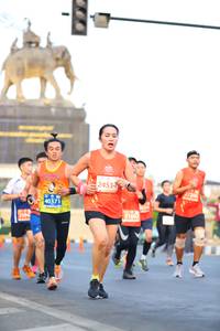 BIB: 2453, 27206, 40371, 21602
                            <button type="button" onclick="openModal(10845444)" class="btn btn-primary btn-sm float-right btn-popup" data-toggle="modal" data-target=".modal-high-quality">
                        <i class="fas fa-shopping-cart"></i> Add to Cart
                    </button>
                                            <button type="button" onclick="isThisMe(10845444, true)" class="btn btn-success btn-sm float-right btn-popup btn-isme hidden" data-toggle="tooltip" data-placement="bottom" title="นี่คือรูปของคุณใช่ไหม คลิกที่นี่เพื่อเอาเข้าอัลบั้ม">
                        <i class="fas fa-plus"></i> Add to album
                    </button>
                    <button type="button" onclick="isThisMe(10845444, false)" class="btn btn-warning btn-sm float-right btn-popup btn-isnotme hidden">
                        <i class="fas fa-ban"></i> Remove from album
                    </button>