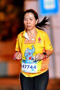 BIB: 429, 47744, 0397
                            <button type="button" onclick="openModal(15589643)" class="btn btn-primary btn-sm float-right btn-popup" data-toggle="modal" data-target=".modal-high-quality">
                        <i class="fas fa-shopping-cart"></i> Add to Cart
                    </button>
                                            <button type="button" onclick="isThisMe(15589643, true)" class="btn btn-success btn-sm float-right btn-popup btn-isme hidden" data-toggle="tooltip" data-placement="bottom" title="นี่คือรูปของคุณใช่ไหม คลิกที่นี่เพื่อเอาเข้าอัลบั้ม">
                        <i class="fas fa-plus"></i> Add to album
                    </button>
                    <button type="button" onclick="isThisMe(15589643, false)" class="btn btn-warning btn-sm float-right btn-popup btn-isnotme hidden">
                        <i class="fas fa-ban"></i> Remove from album
                    </button>