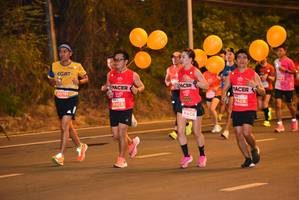 BIB: 20781
                            <button type="button" onclick="openModal(13918531)" class="btn btn-primary btn-sm float-right btn-popup" data-toggle="modal" data-target=".modal-high-quality">
                        <i class="fas fa-shopping-cart"></i> Add to Cart
                    </button>
                                            <button type="button" onclick="isThisMe(13918531, true)" class="btn btn-success btn-sm float-right btn-popup btn-isme hidden" data-toggle="tooltip" data-placement="bottom" title="นี่คือรูปของคุณใช่ไหม คลิกที่นี่เพื่อเอาเข้าอัลบั้ม">
                        <i class="fas fa-plus"></i> Add to album
                    </button>
                    <button type="button" onclick="isThisMe(13918531, false)" class="btn btn-warning btn-sm float-right btn-popup btn-isnotme hidden">
                        <i class="fas fa-ban"></i> Remove from album
                    </button>