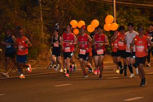 BIB: 73244, 20243
                            <button type="button" onclick="openModal(13912402)" class="btn btn-primary btn-sm float-right btn-popup" data-toggle="modal" data-target=".modal-high-quality">
                        <i class="fas fa-shopping-cart"></i> Add to Cart
                    </button>
                                            <button type="button" onclick="isThisMe(13912402, true)" class="btn btn-success btn-sm float-right btn-popup btn-isme hidden" data-toggle="tooltip" data-placement="bottom" title="นี่คือรูปของคุณใช่ไหม คลิกที่นี่เพื่อเอาเข้าอัลบั้ม">
                        <i class="fas fa-plus"></i> Add to album
                    </button>
                    <button type="button" onclick="isThisMe(13912402, false)" class="btn btn-warning btn-sm float-right btn-popup btn-isnotme hidden">
                        <i class="fas fa-ban"></i> Remove from album
                    </button>