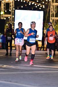 BIB: 2006, 47513, 560
                            <button type="button" onclick="openModal(14994390)" class="btn btn-primary btn-sm float-right btn-popup" data-toggle="modal" data-target=".modal-high-quality">
                        <i class="fas fa-shopping-cart"></i> Add to Cart
                    </button>
                                            <button type="button" onclick="isThisMe(14994390, true)" class="btn btn-success btn-sm float-right btn-popup btn-isme hidden" data-toggle="tooltip" data-placement="bottom" title="นี่คือรูปของคุณใช่ไหม คลิกที่นี่เพื่อเอาเข้าอัลบั้ม">
                        <i class="fas fa-plus"></i> Add to album
                    </button>
                    <button type="button" onclick="isThisMe(14994390, false)" class="btn btn-warning btn-sm float-right btn-popup btn-isnotme hidden">
                        <i class="fas fa-ban"></i> Remove from album
                    </button>