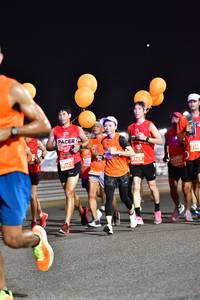 BIB: 0756
                            <button type="button" onclick="openModal(14442523)" class="btn btn-primary btn-sm float-right btn-popup" data-toggle="modal" data-target=".modal-high-quality">
                        <i class="fas fa-shopping-cart"></i> Add to Cart
                    </button>
                                            <button type="button" onclick="isThisMe(14442523, true)" class="btn btn-success btn-sm float-right btn-popup btn-isme hidden" data-toggle="tooltip" data-placement="bottom" title="นี่คือรูปของคุณใช่ไหม คลิกที่นี่เพื่อเอาเข้าอัลบั้ม">
                        <i class="fas fa-plus"></i> Add to album
                    </button>
                    <button type="button" onclick="isThisMe(14442523, false)" class="btn btn-warning btn-sm float-right btn-popup btn-isnotme hidden">
                        <i class="fas fa-ban"></i> Remove from album
                    </button>