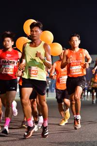 BIB: 047, 26181, 208
                            <button type="button" onclick="openModal(14431622)" class="btn btn-primary btn-sm float-right btn-popup" data-toggle="modal" data-target=".modal-high-quality">
                        <i class="fas fa-shopping-cart"></i> Add to Cart
                    </button>
                                            <button type="button" onclick="isThisMe(14431622, true)" class="btn btn-success btn-sm float-right btn-popup btn-isme hidden" data-toggle="tooltip" data-placement="bottom" title="นี่คือรูปของคุณใช่ไหม คลิกที่นี่เพื่อเอาเข้าอัลบั้ม">
                        <i class="fas fa-plus"></i> Add to album
                    </button>
                    <button type="button" onclick="isThisMe(14431622, false)" class="btn btn-warning btn-sm float-right btn-popup btn-isnotme hidden">
                        <i class="fas fa-ban"></i> Remove from album
                    </button>