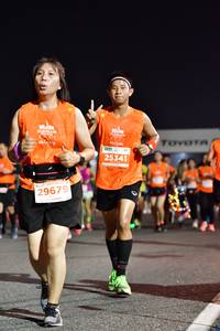 BIB: 25341, 29679
                            <button type="button" onclick="openModal(14495423)" class="btn btn-primary btn-sm float-right btn-popup" data-toggle="modal" data-target=".modal-high-quality">
                        <i class="fas fa-shopping-cart"></i> Add to Cart
                    </button>
                                            <button type="button" onclick="isThisMe(14495423, true)" class="btn btn-success btn-sm float-right btn-popup btn-isme hidden" data-toggle="tooltip" data-placement="bottom" title="นี่คือรูปของคุณใช่ไหม คลิกที่นี่เพื่อเอาเข้าอัลบั้ม">
                        <i class="fas fa-plus"></i> Add to album
                    </button>
                    <button type="button" onclick="isThisMe(14495423, false)" class="btn btn-warning btn-sm float-right btn-popup btn-isnotme hidden">
                        <i class="fas fa-ban"></i> Remove from album
                    </button>