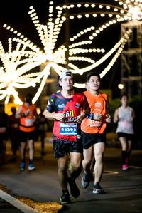 BIB: 45565
                            <button type="button" onclick="openModal(15320767)" class="btn btn-primary btn-sm float-right btn-popup" data-toggle="modal" data-target=".modal-high-quality">
                        <i class="fas fa-shopping-cart"></i> Add to Cart
                    </button>
                                            <button type="button" onclick="isThisMe(15320767, true)" class="btn btn-success btn-sm float-right btn-popup btn-isme hidden" data-toggle="tooltip" data-placement="bottom" title="นี่คือรูปของคุณใช่ไหม คลิกที่นี่เพื่อเอาเข้าอัลบั้ม">
                        <i class="fas fa-plus"></i> Add to album
                    </button>
                    <button type="button" onclick="isThisMe(15320767, false)" class="btn btn-warning btn-sm float-right btn-popup btn-isnotme hidden">
                        <i class="fas fa-ban"></i> Remove from album
                    </button>