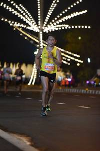 BIB: 95085
                            <button type="button" onclick="openModal(13889077)" class="btn btn-primary btn-sm float-right btn-popup" data-toggle="modal" data-target=".modal-high-quality">
                        <i class="fas fa-shopping-cart"></i> Add to Cart
                    </button>
                                            <button type="button" onclick="isThisMe(13889077, true)" class="btn btn-success btn-sm float-right btn-popup btn-isme hidden" data-toggle="tooltip" data-placement="bottom" title="นี่คือรูปของคุณใช่ไหม คลิกที่นี่เพื่อเอาเข้าอัลบั้ม">
                        <i class="fas fa-plus"></i> Add to album
                    </button>
                    <button type="button" onclick="isThisMe(13889077, false)" class="btn btn-warning btn-sm float-right btn-popup btn-isnotme hidden">
                        <i class="fas fa-ban"></i> Remove from album
                    </button>