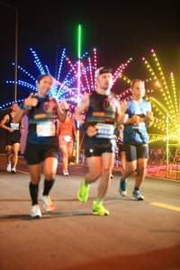 BIB: 
                            <button type="button" onclick="openModal(15213185)" class="btn btn-primary btn-sm float-right btn-popup" data-toggle="modal" data-target=".modal-high-quality">
                        <i class="fas fa-shopping-cart"></i> Add to Cart
                    </button>
                                            <button type="button" onclick="isThisMe(15213185, true)" class="btn btn-success btn-sm float-right btn-popup btn-isme hidden" data-toggle="tooltip" data-placement="bottom" title="นี่คือรูปของคุณใช่ไหม คลิกที่นี่เพื่อเอาเข้าอัลบั้ม">
                        <i class="fas fa-plus"></i> Add to album
                    </button>
                    <button type="button" onclick="isThisMe(15213185, false)" class="btn btn-warning btn-sm float-right btn-popup btn-isnotme hidden">
                        <i class="fas fa-ban"></i> Remove from album
                    </button>