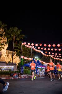 BIB: 
                            <button type="button" onclick="openModal(14959990)" class="btn btn-primary btn-sm float-right btn-popup" data-toggle="modal" data-target=".modal-high-quality">
                        <i class="fas fa-shopping-cart"></i> Add to Cart
                    </button>
                                            <button type="button" onclick="isThisMe(14959990, true)" class="btn btn-success btn-sm float-right btn-popup btn-isme hidden" data-toggle="tooltip" data-placement="bottom" title="นี่คือรูปของคุณใช่ไหม คลิกที่นี่เพื่อเอาเข้าอัลบั้ม">
                        <i class="fas fa-plus"></i> Add to album
                    </button>
                    <button type="button" onclick="isThisMe(14959990, false)" class="btn btn-warning btn-sm float-right btn-popup btn-isnotme hidden">
                        <i class="fas fa-ban"></i> Remove from album
                    </button>