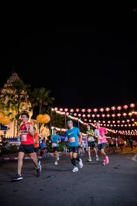 BIB: 
                            <button type="button" onclick="openModal(14713165)" class="btn btn-primary btn-sm float-right btn-popup" data-toggle="modal" data-target=".modal-high-quality">
                        <i class="fas fa-shopping-cart"></i> Add to Cart
                    </button>
                                            <button type="button" onclick="isThisMe(14713165, true)" class="btn btn-success btn-sm float-right btn-popup btn-isme hidden" data-toggle="tooltip" data-placement="bottom" title="นี่คือรูปของคุณใช่ไหม คลิกที่นี่เพื่อเอาเข้าอัลบั้ม">
                        <i class="fas fa-plus"></i> Add to album
                    </button>
                    <button type="button" onclick="isThisMe(14713165, false)" class="btn btn-warning btn-sm float-right btn-popup btn-isnotme hidden">
                        <i class="fas fa-ban"></i> Remove from album
                    </button>